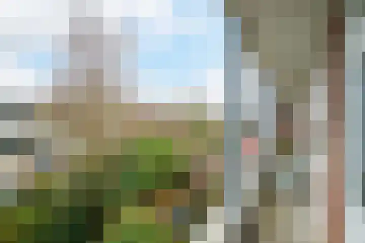 Bothastraat 6 B Breda thumbnail 22