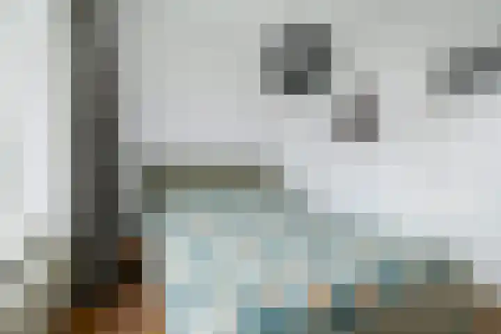 Bothastraat 6 B Breda thumbnail 27