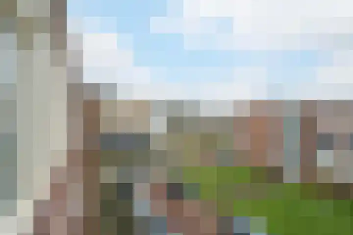 Bothastraat 6 B Breda thumbnail 31