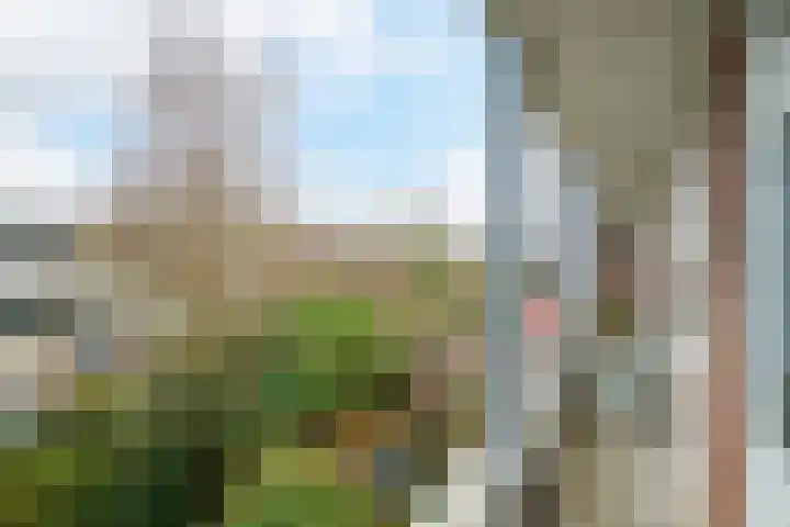 Bothastraat 6 B Breda thumbnail 5