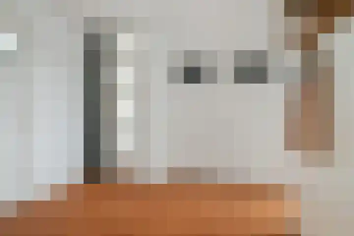 Bothastraat 6 B Breda thumbnail 9