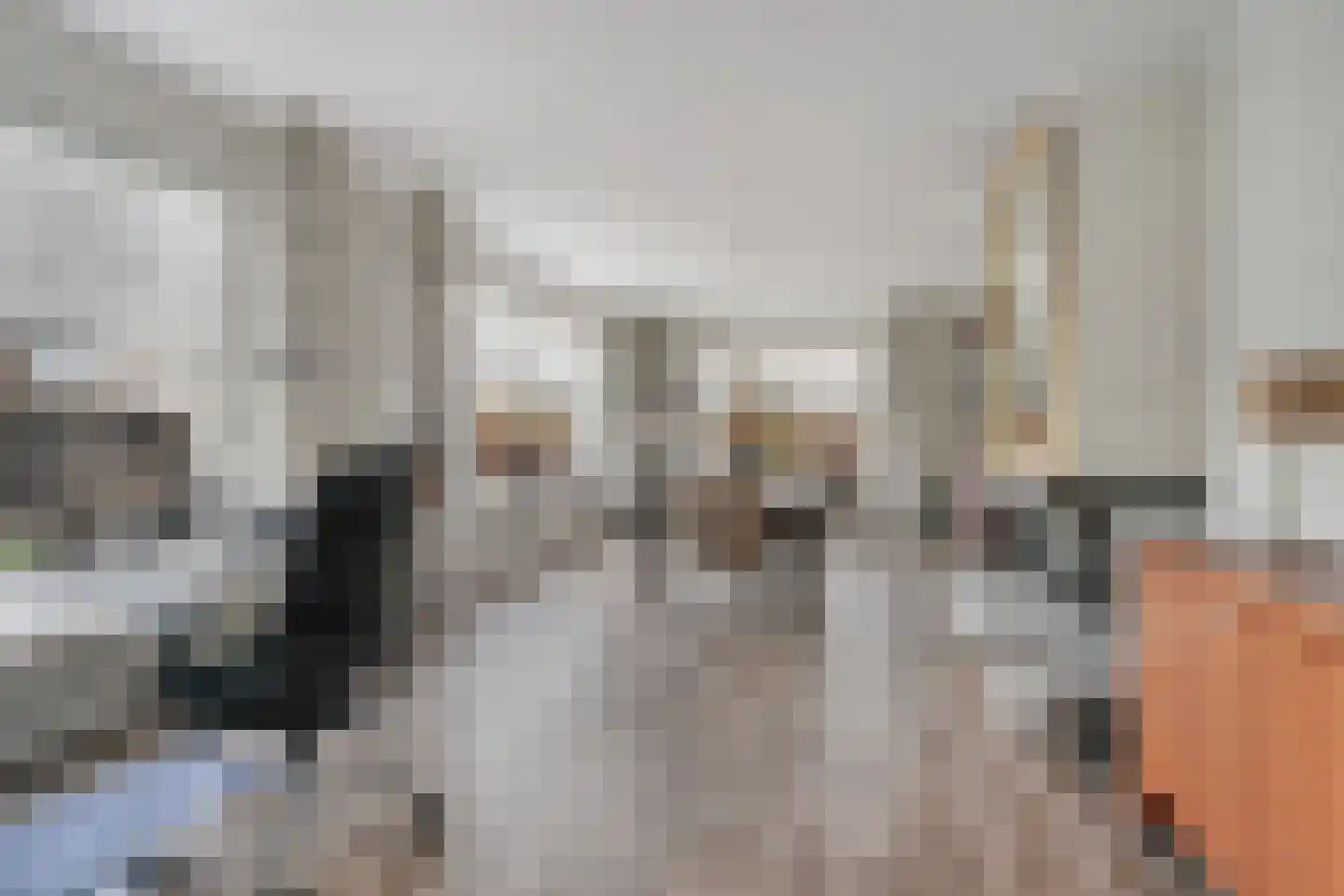 Bothaweg 2 Oosterbeek thumbnail 11