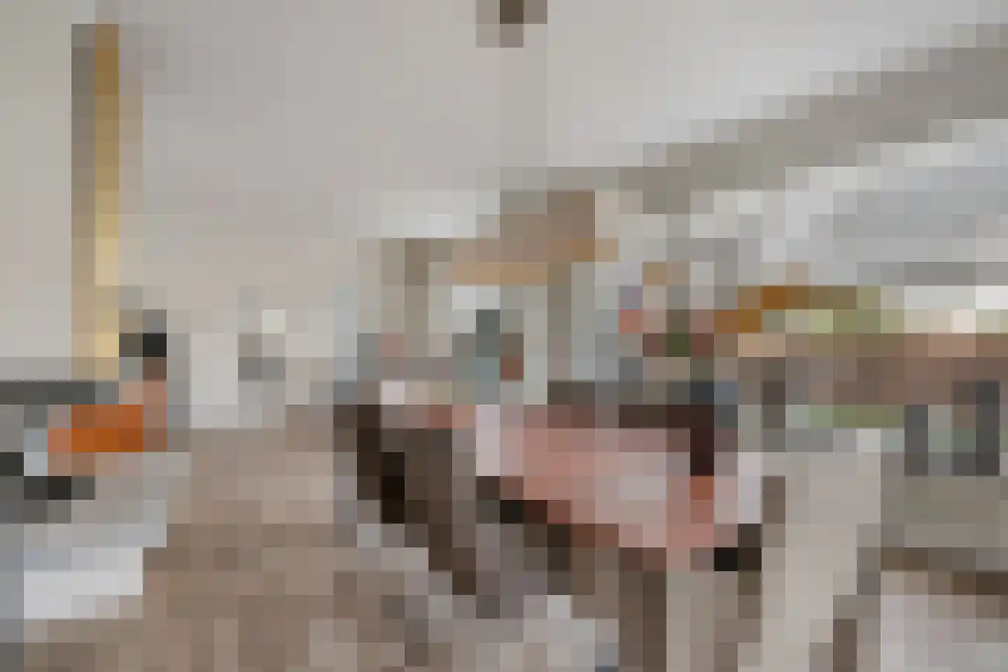 Bothaweg 2 Oosterbeek thumbnail 13