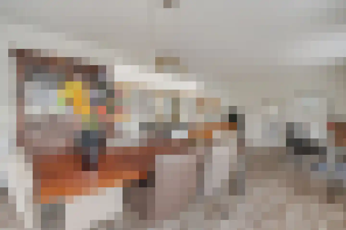 Bothaweg 2 Oosterbeek thumbnail 14