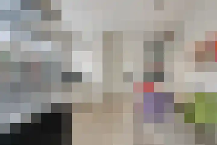 Bothaweg 2 Oosterbeek thumbnail 16