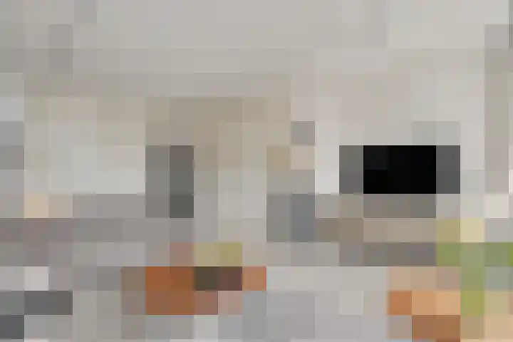 Bothaweg 2 Oosterbeek thumbnail 19