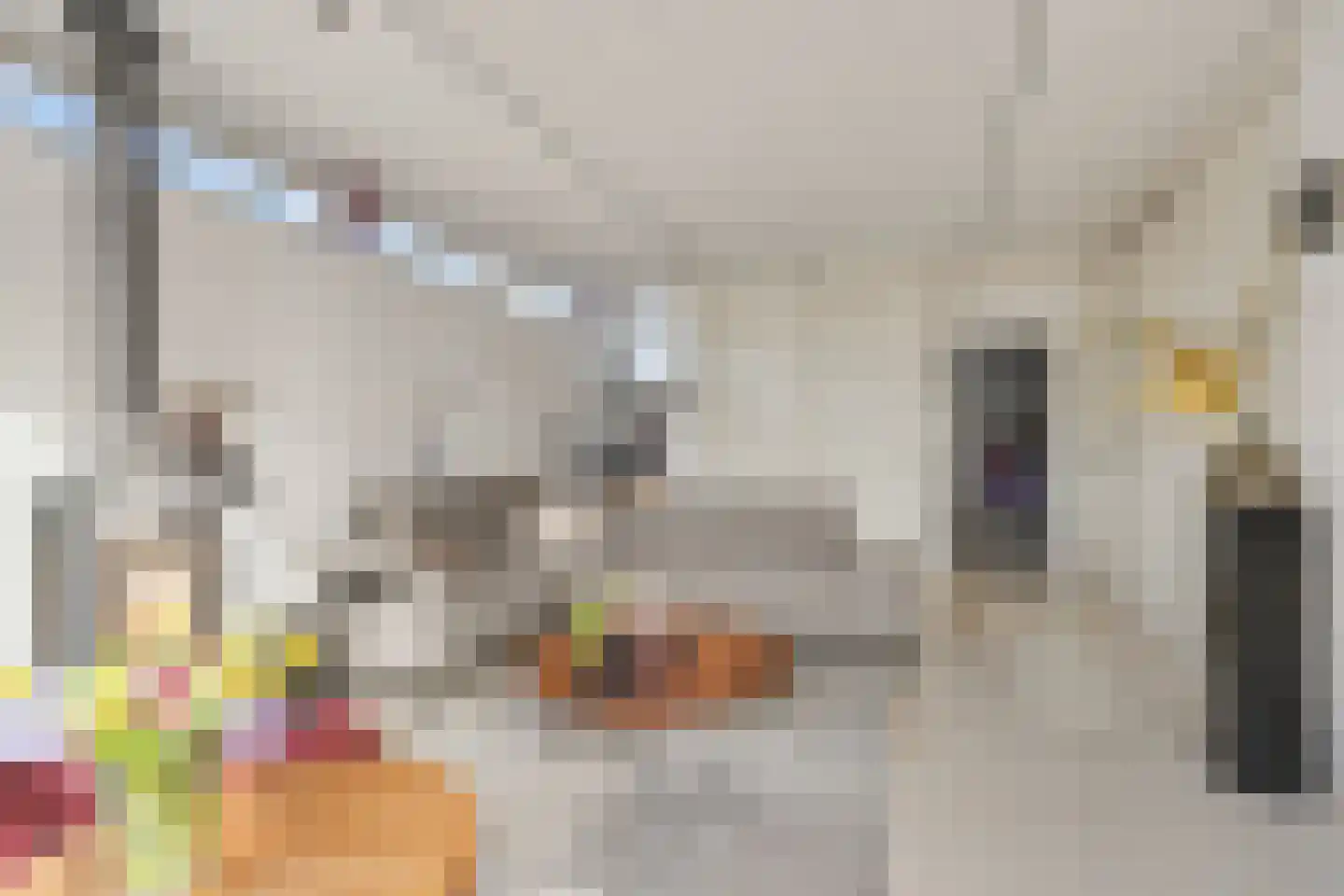 Bothaweg 2 Oosterbeek thumbnail 20