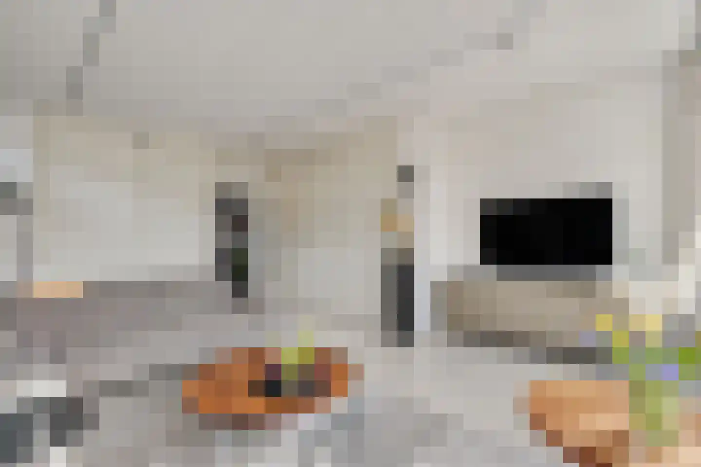 Bothaweg 2 Oosterbeek thumbnail 21