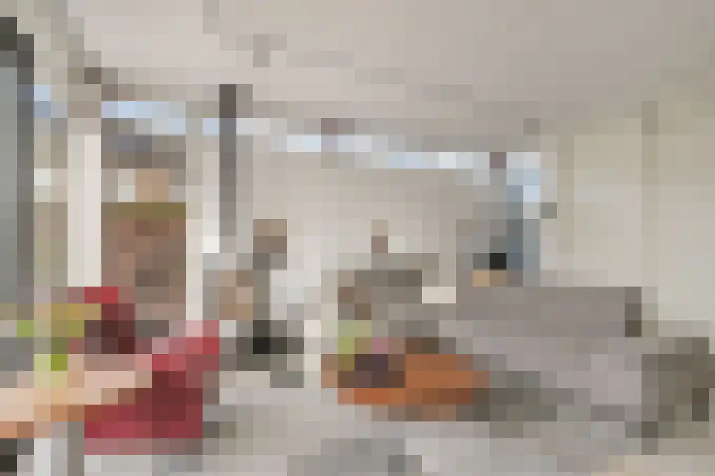 Bothaweg 2 Oosterbeek thumbnail 22