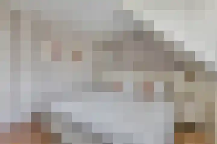 Bothaweg 2 Oosterbeek thumbnail 25