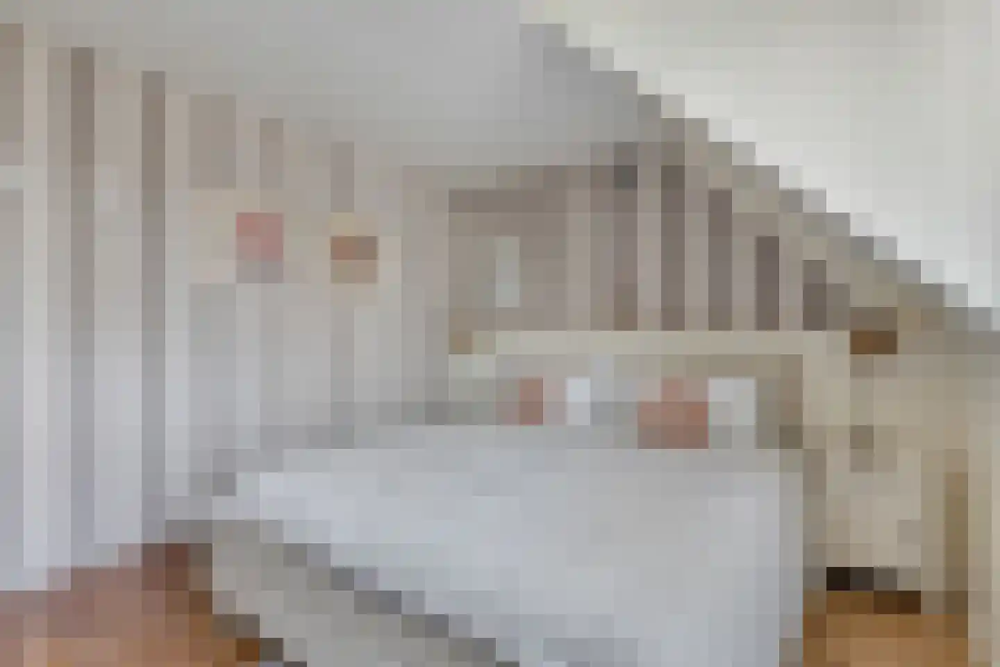 Bothaweg 2 Oosterbeek thumbnail 27