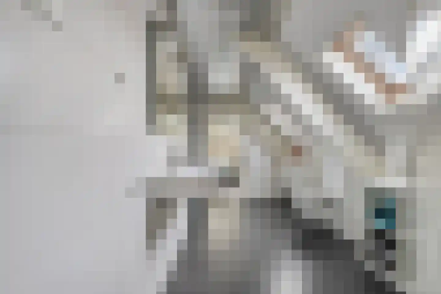 Bothaweg 2 Oosterbeek thumbnail 30