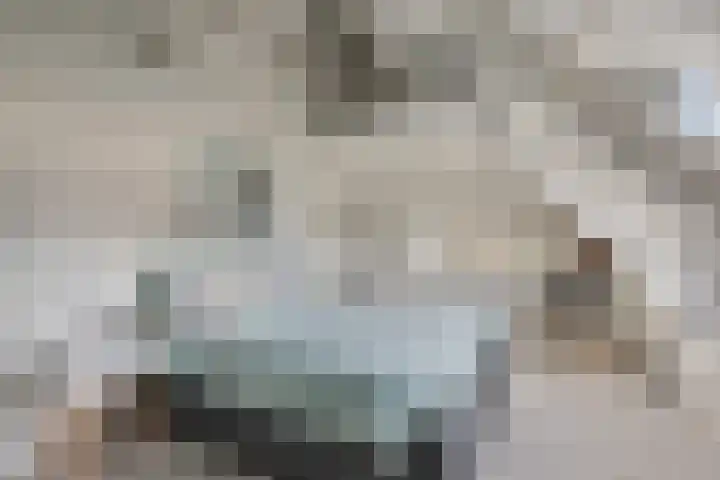 Bothaweg 2 Oosterbeek thumbnail 31