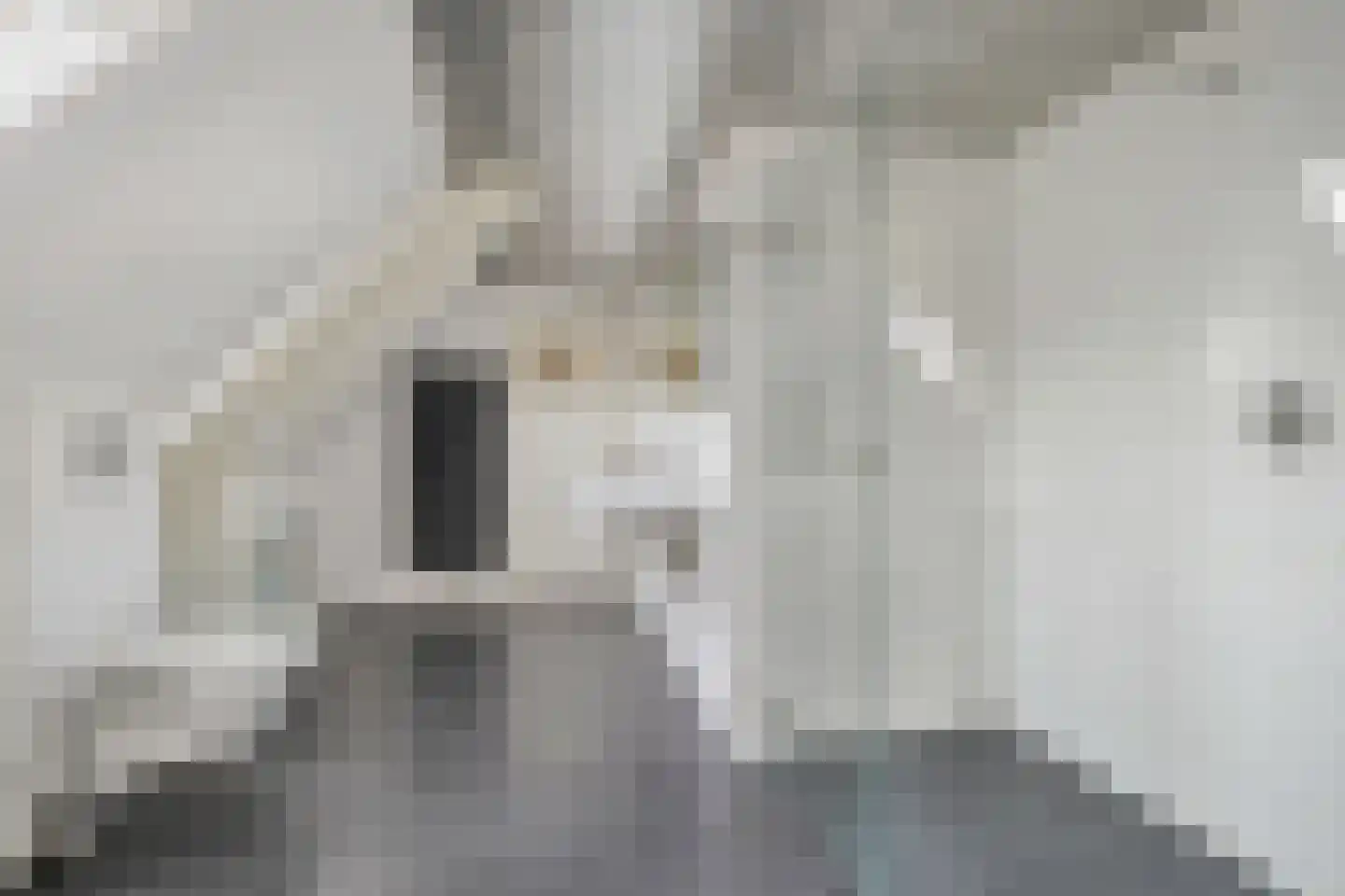Bothaweg 2 Oosterbeek thumbnail 32