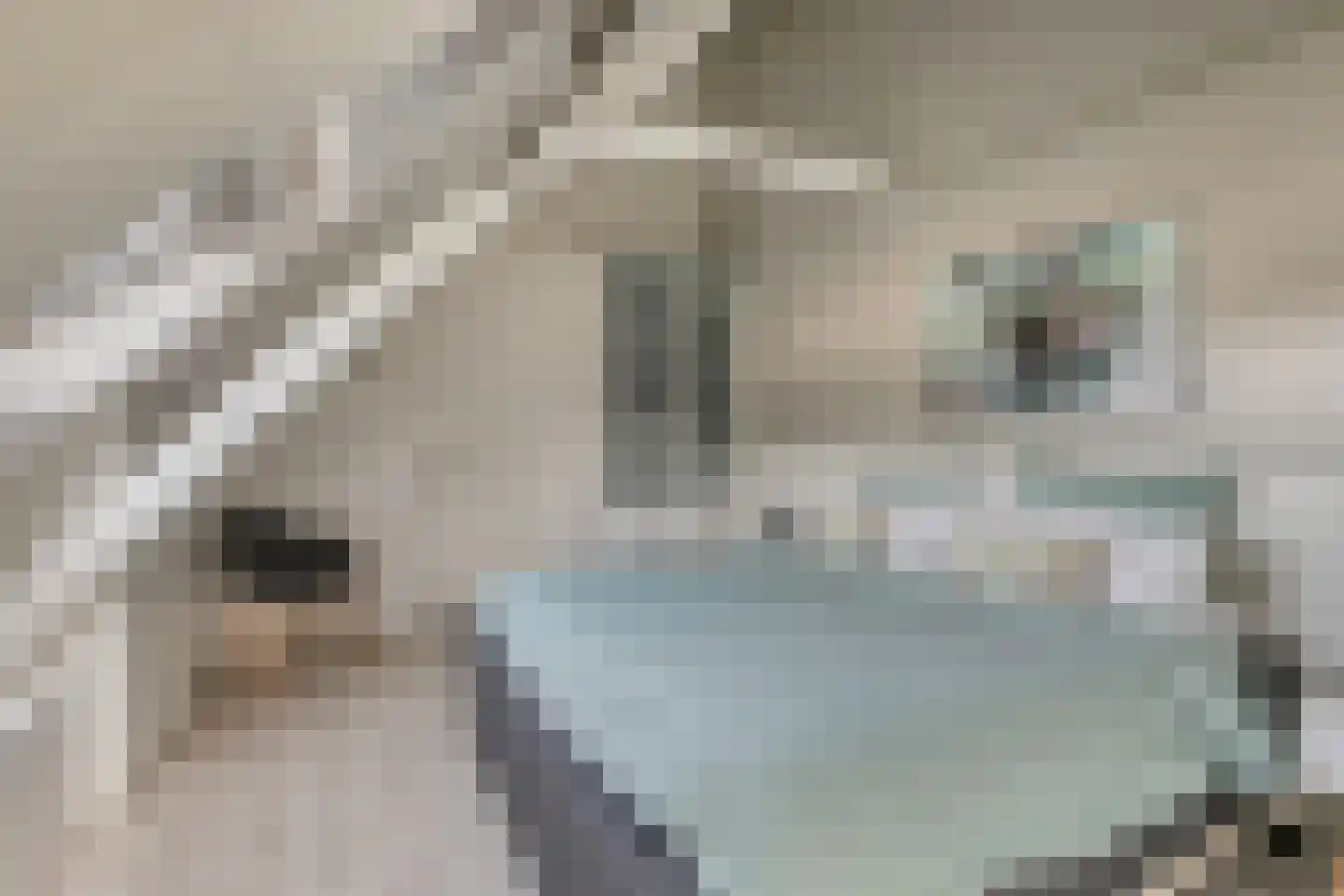 Bothaweg 2 Oosterbeek thumbnail 34