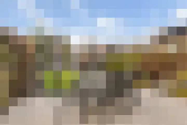 Bothaweg 2 Oosterbeek thumbnail 35