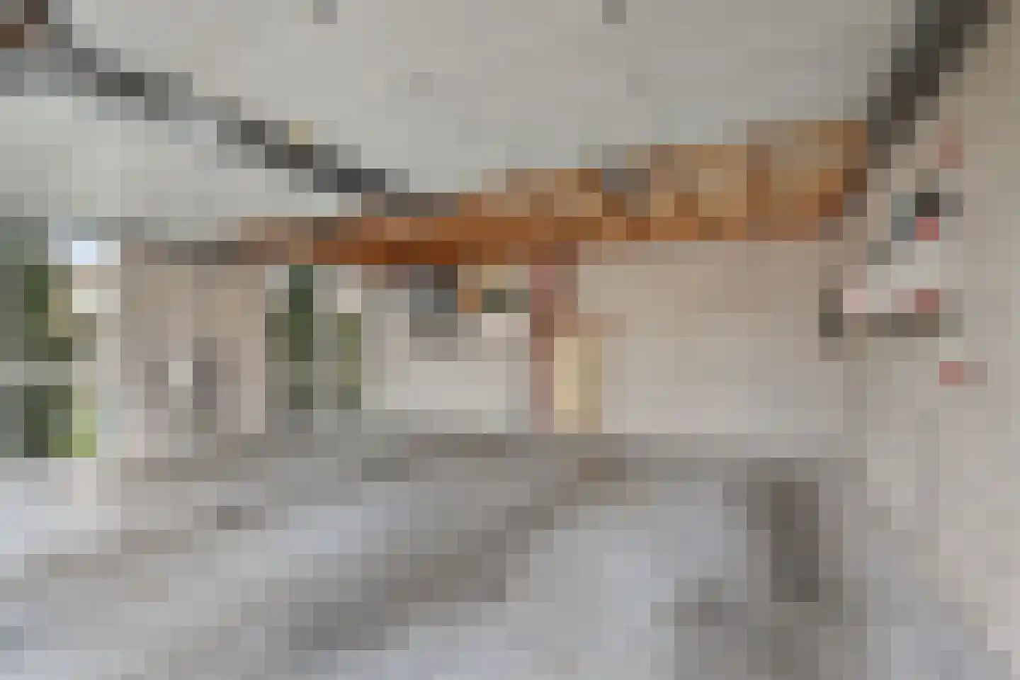 Bothaweg 2 Oosterbeek thumbnail 36