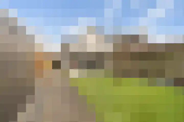 Bothaweg 2 Oosterbeek thumbnail 36