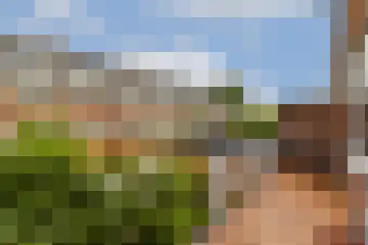 Bothaweg 2 Oosterbeek thumbnail 37