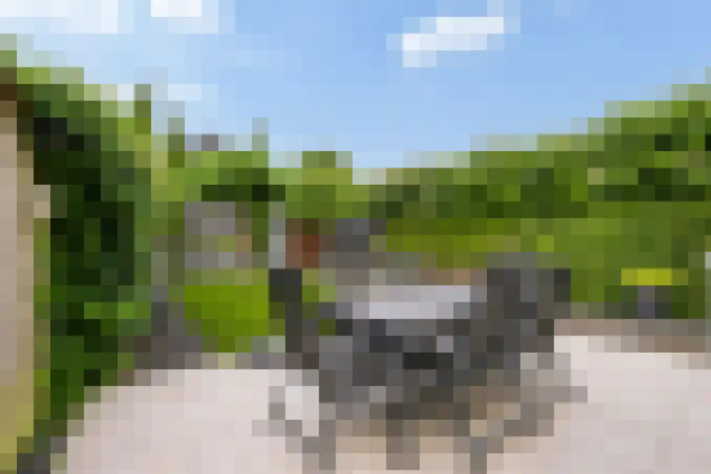Bothaweg 2 Oosterbeek thumbnail 39