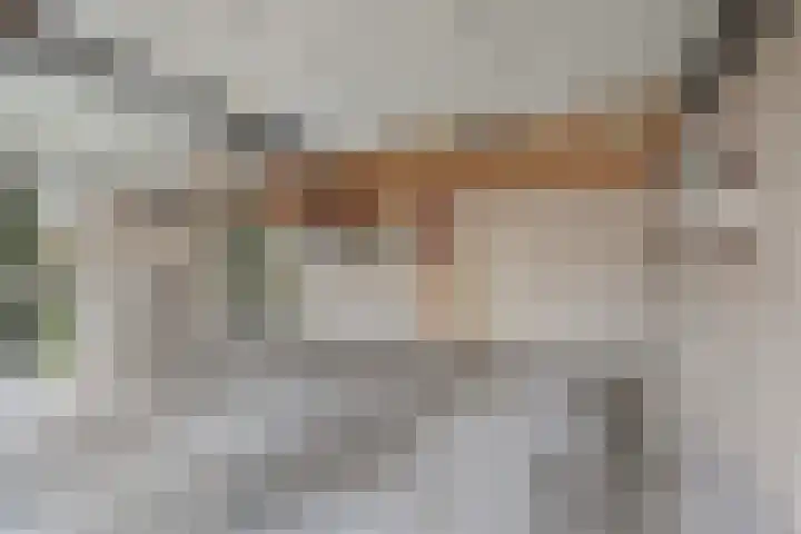 Bothaweg 2 Oosterbeek thumbnail 39