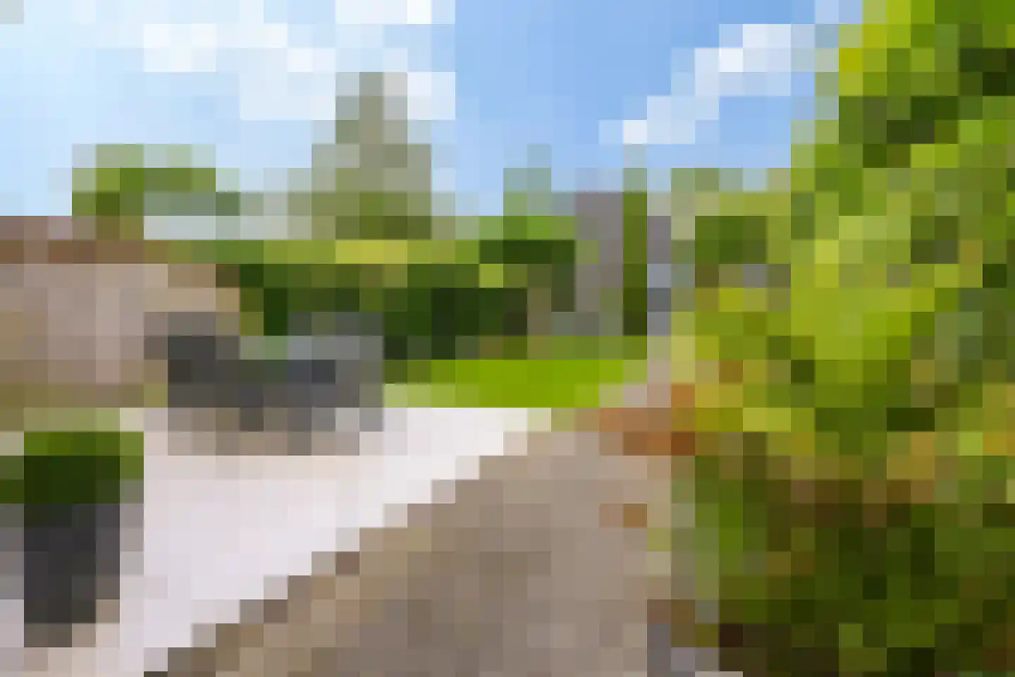 Bothaweg 2 Oosterbeek thumbnail 40