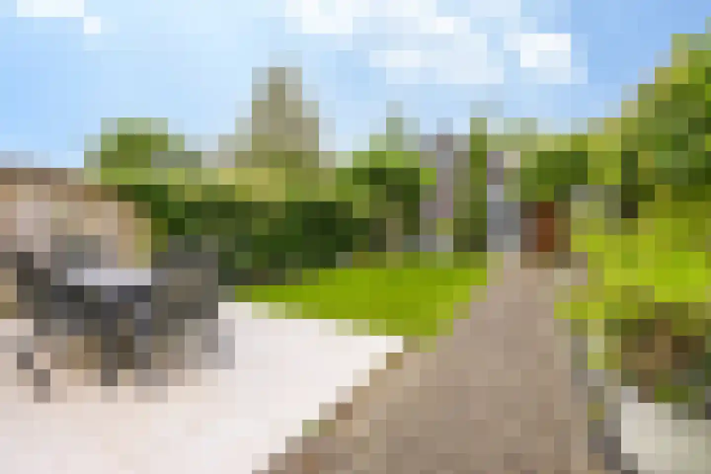 Bothaweg 2 Oosterbeek thumbnail 41