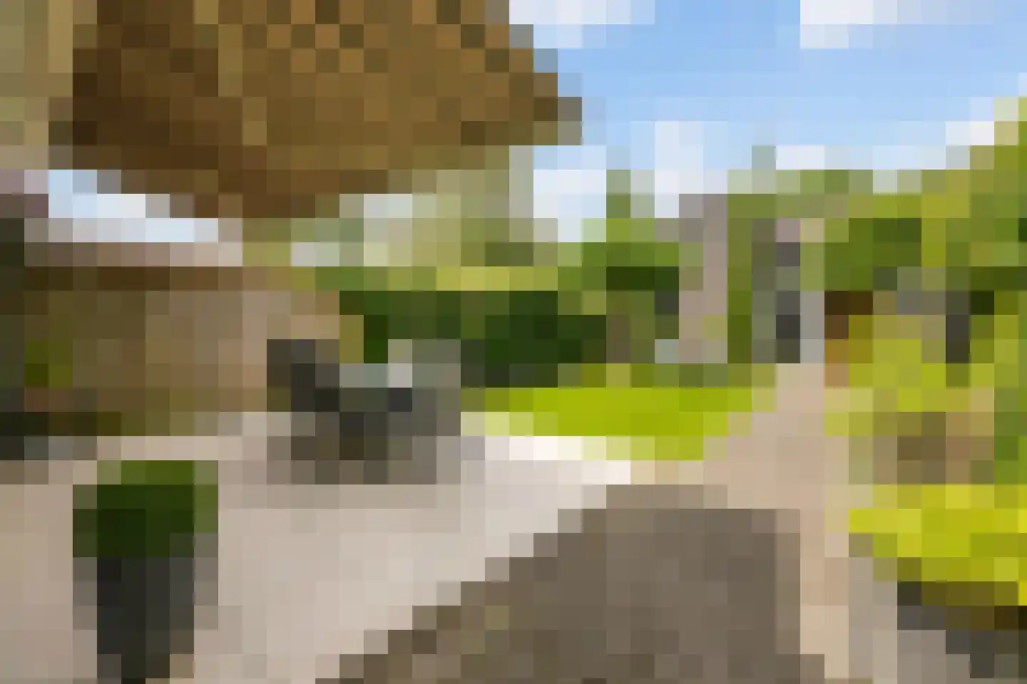 Bothaweg 2 Oosterbeek thumbnail 46