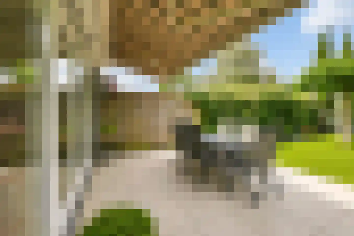Bothaweg 2 Oosterbeek thumbnail 47