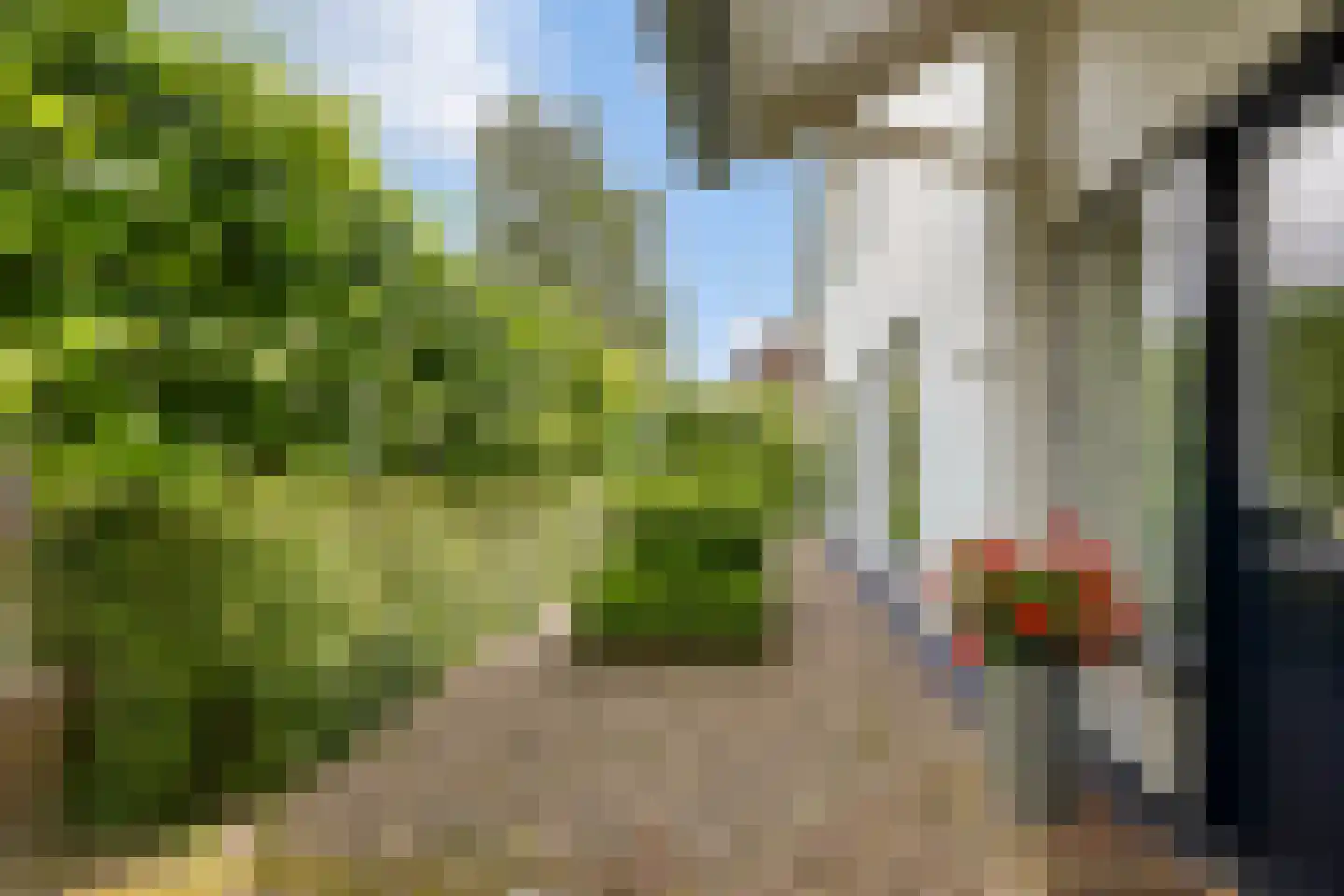 Bothaweg 2 Oosterbeek thumbnail 48