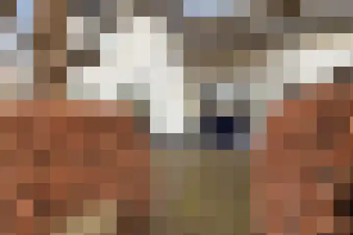 Bothaweg 2 Oosterbeek thumbnail 5