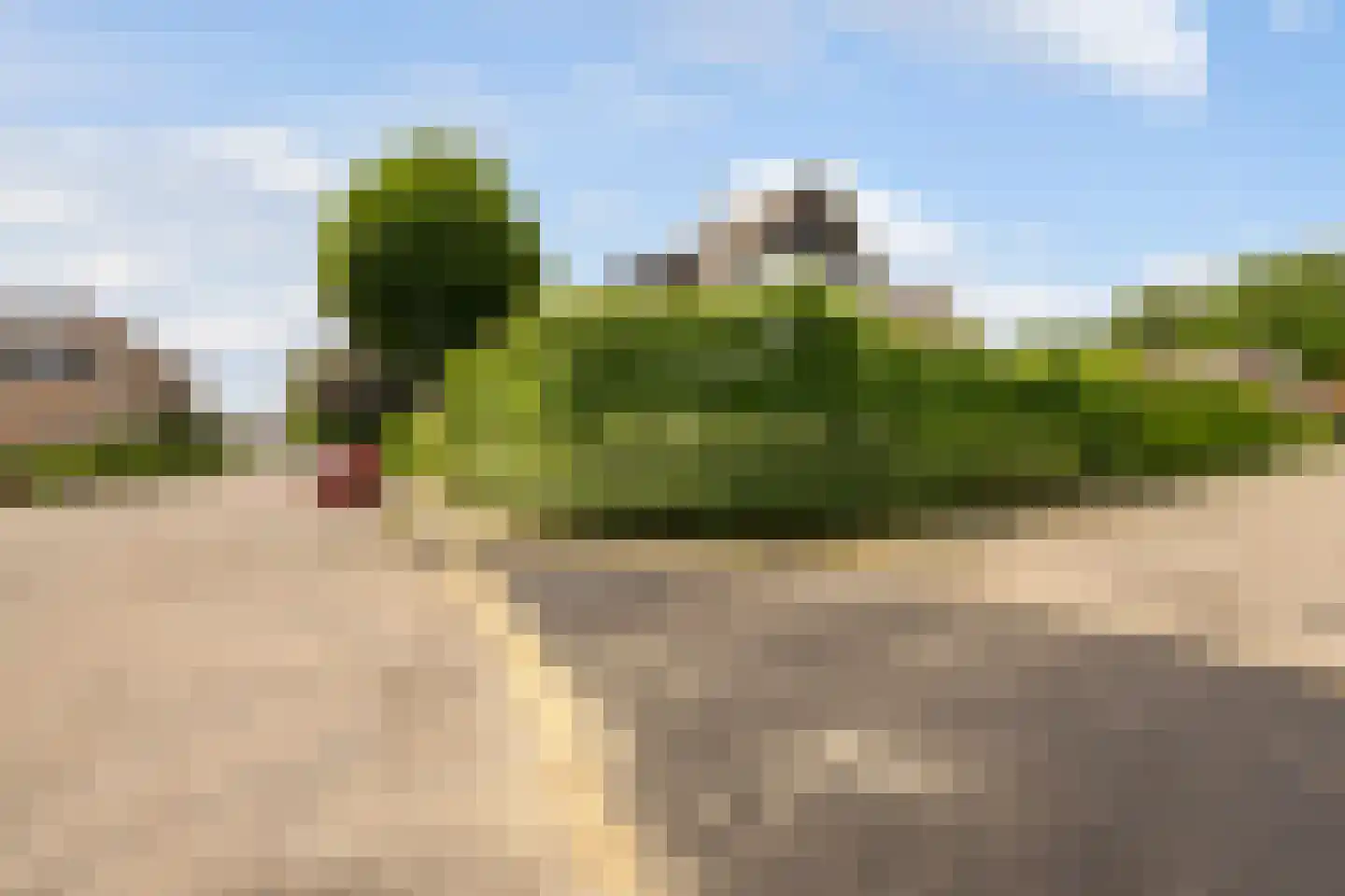 Bothaweg 2 Oosterbeek thumbnail 6