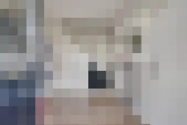 Bothaweg 2 Oosterbeek thumbnail 6