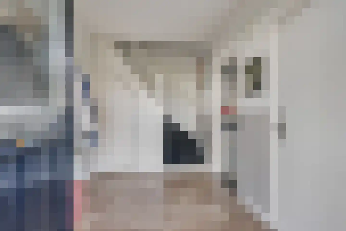 Bothaweg 2 Oosterbeek thumbnail 8