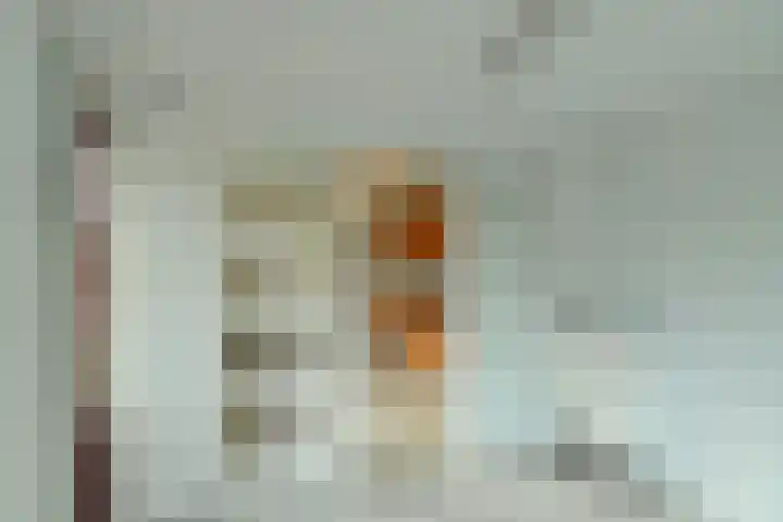 Bothaweg 9 Oosterbeek thumbnail 17