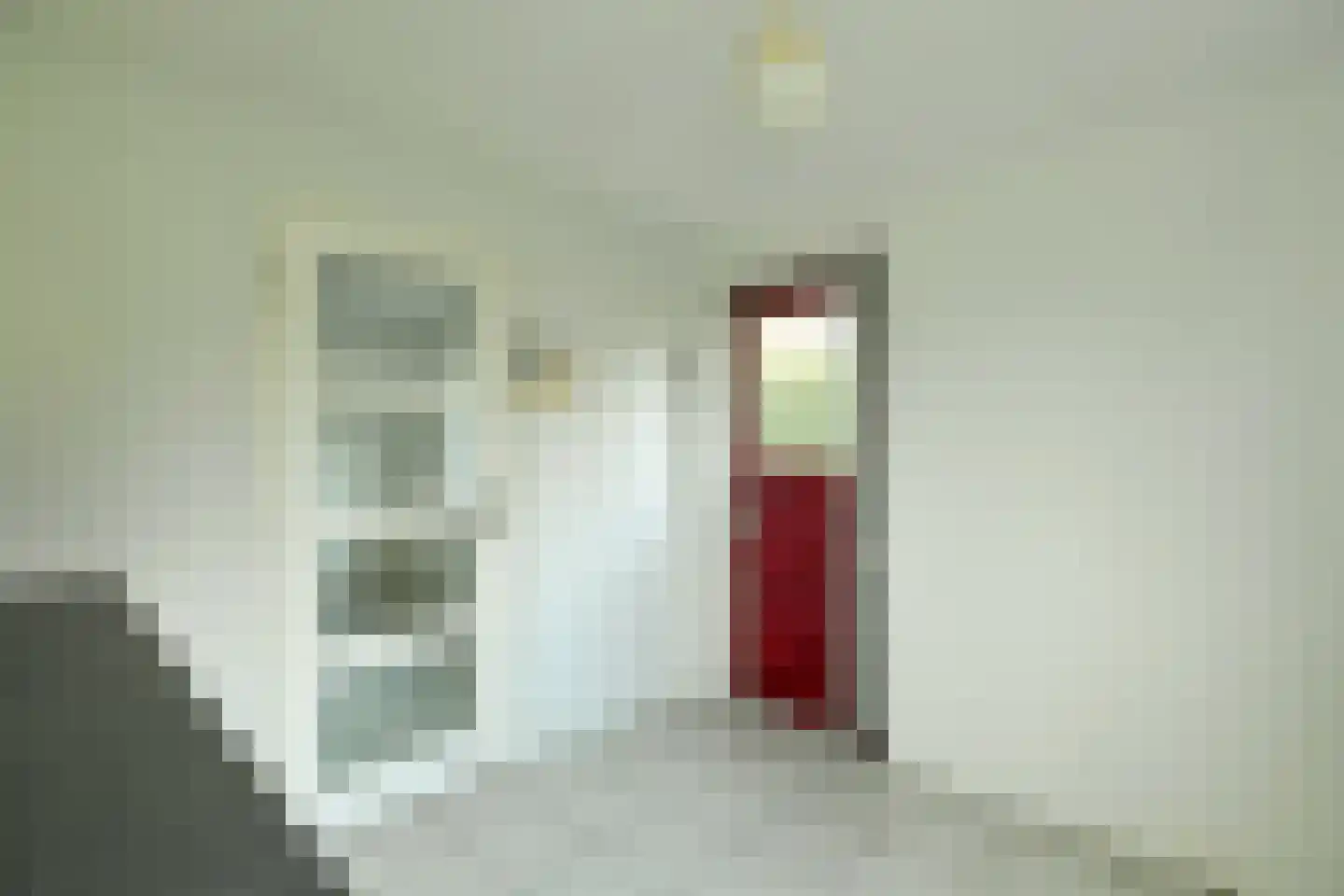 Bothaweg 9 Oosterbeek thumbnail 20