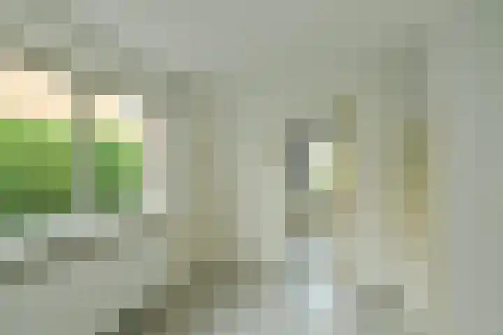 Bothaweg 9 Oosterbeek thumbnail 21