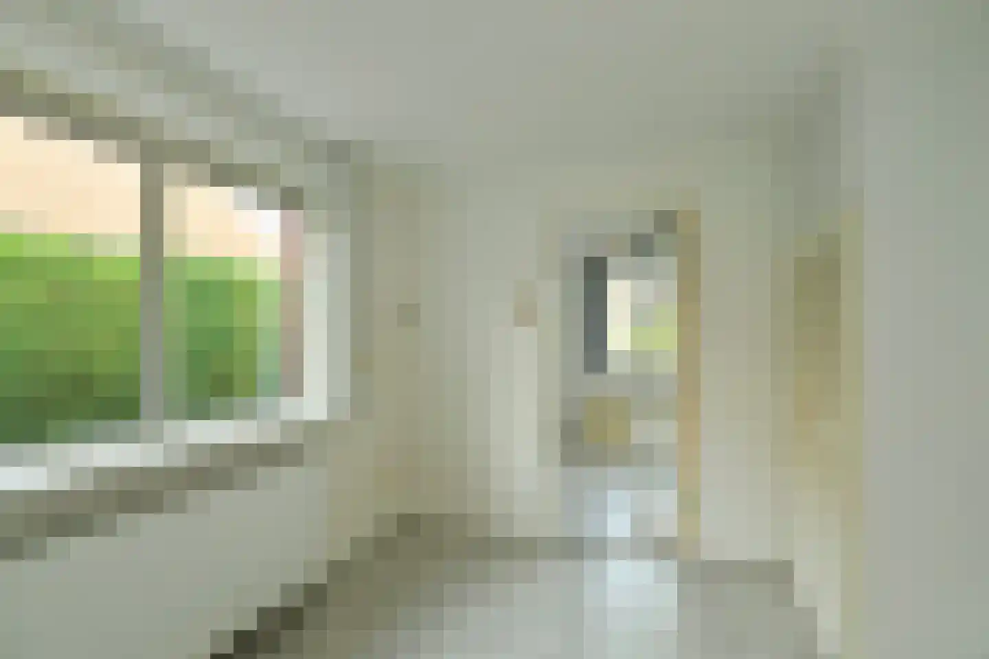 Bothaweg 9 Oosterbeek thumbnail 21