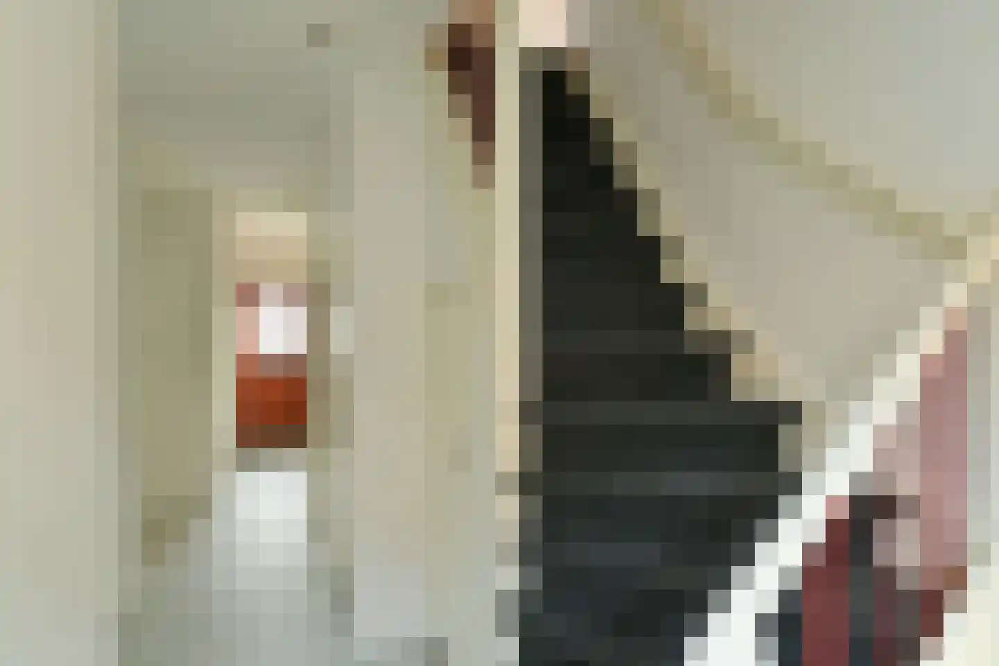 Bothaweg 9 Oosterbeek thumbnail 25