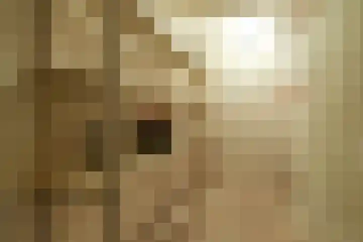 Bothaweg 9 Oosterbeek thumbnail 33