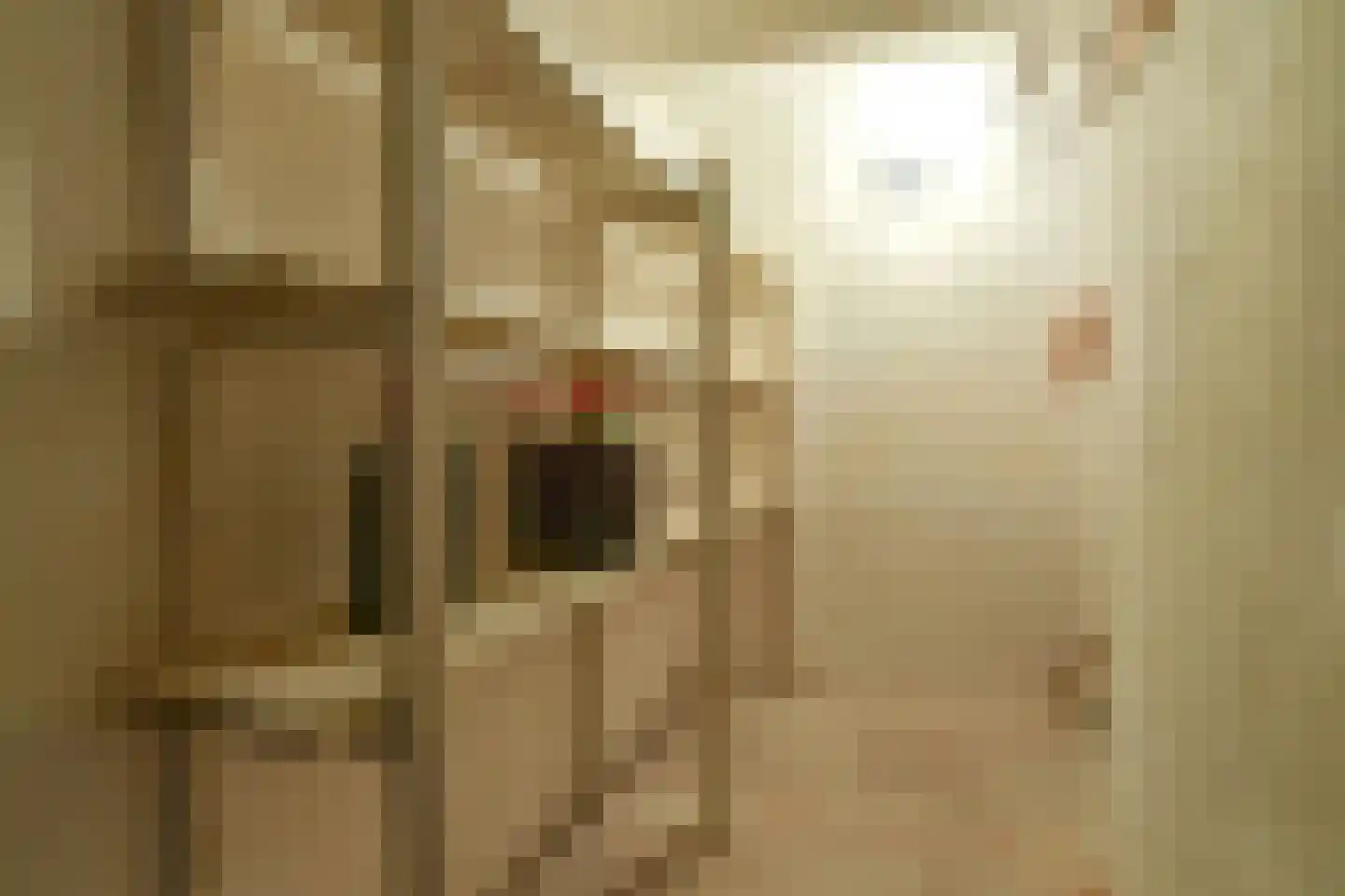 Bothaweg 9 Oosterbeek thumbnail 33
