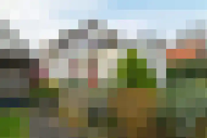 Bothaweg 9 Oosterbeek thumbnail 35