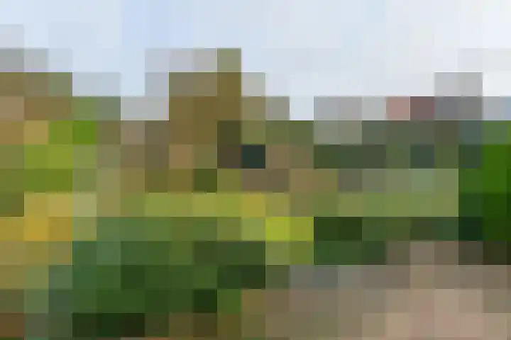 Bothaweg 9 Oosterbeek thumbnail 41