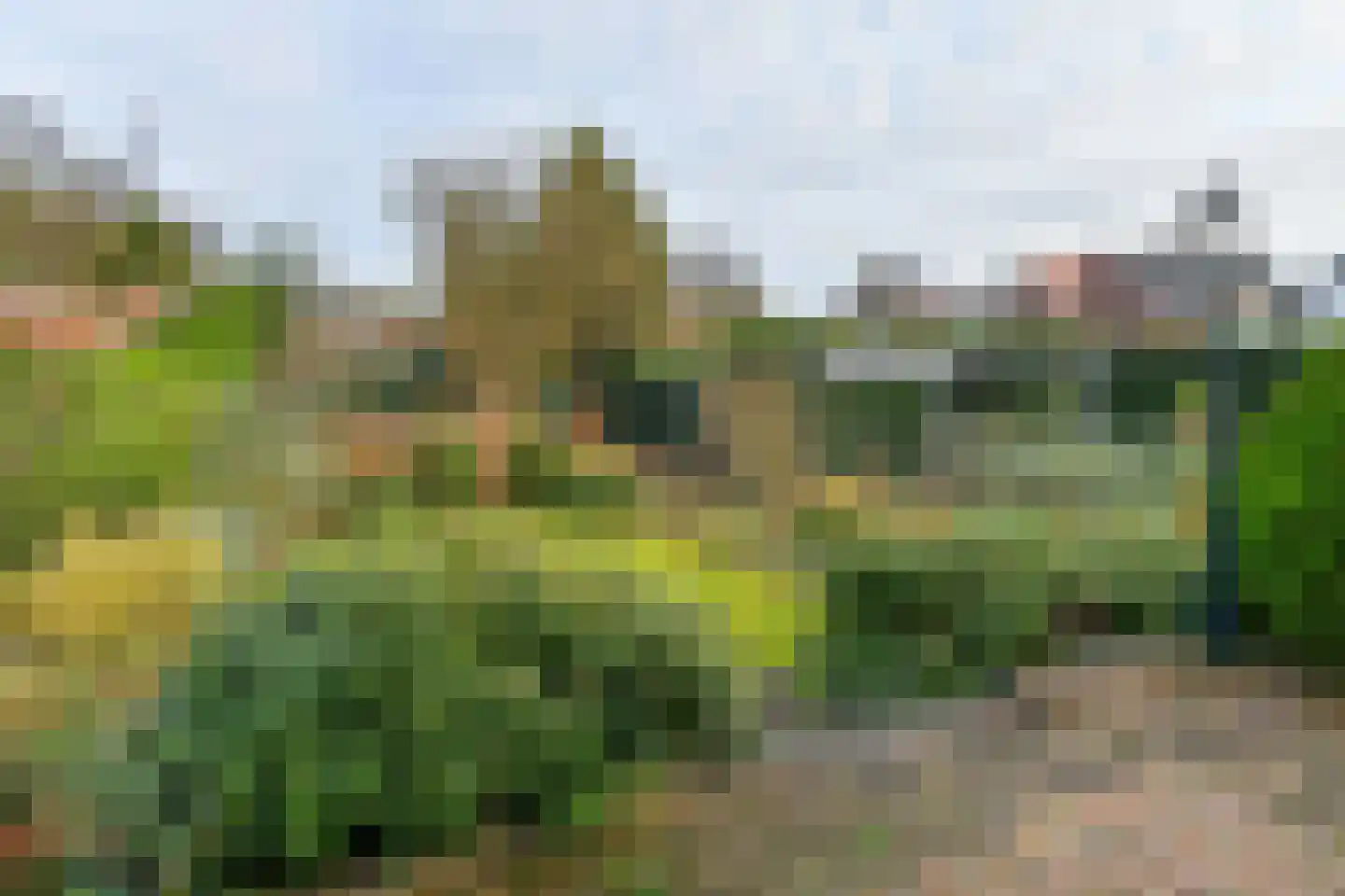 Bothaweg 9 Oosterbeek thumbnail 41