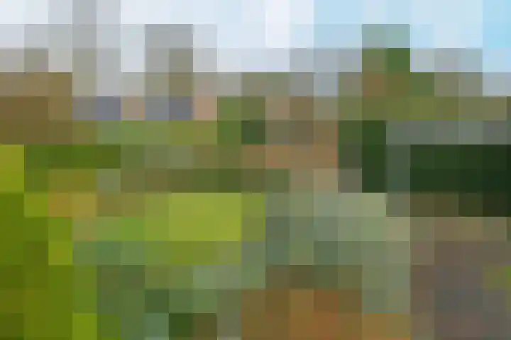 Bothaweg 9 Oosterbeek thumbnail 42