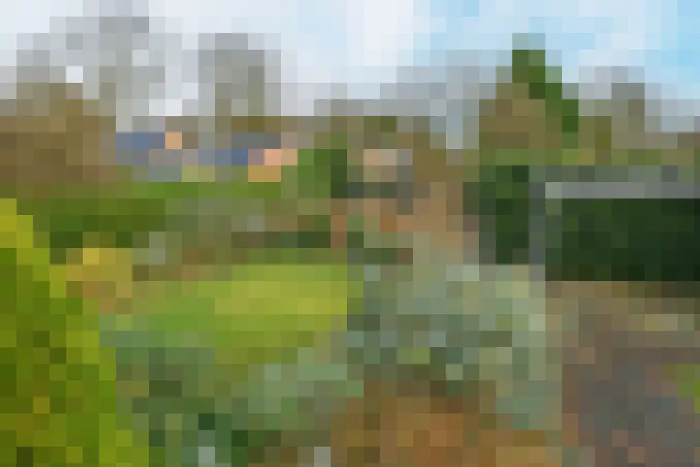 Bothaweg 9 Oosterbeek thumbnail 42