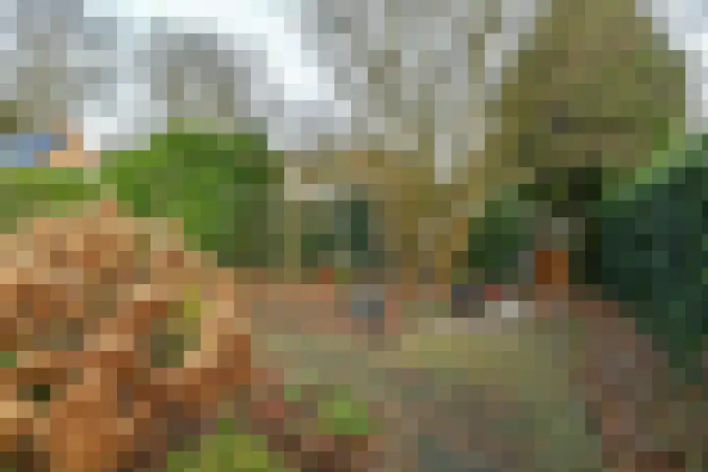 Bothaweg 9 Oosterbeek thumbnail 45
