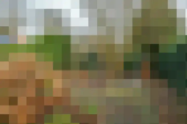 Bothaweg 9 Oosterbeek thumbnail 45