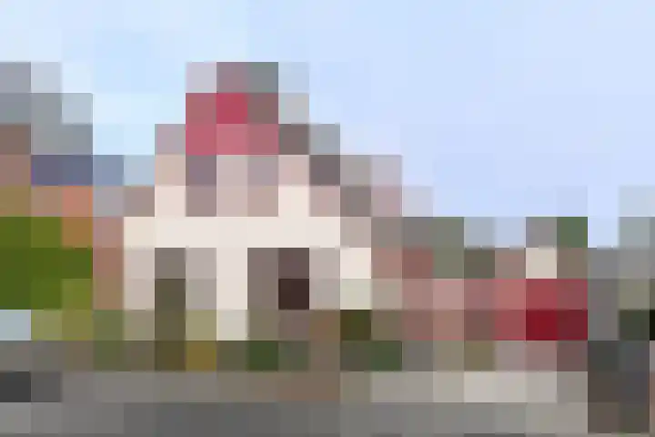 Bothaweg 9 Oosterbeek thumbnail 47
