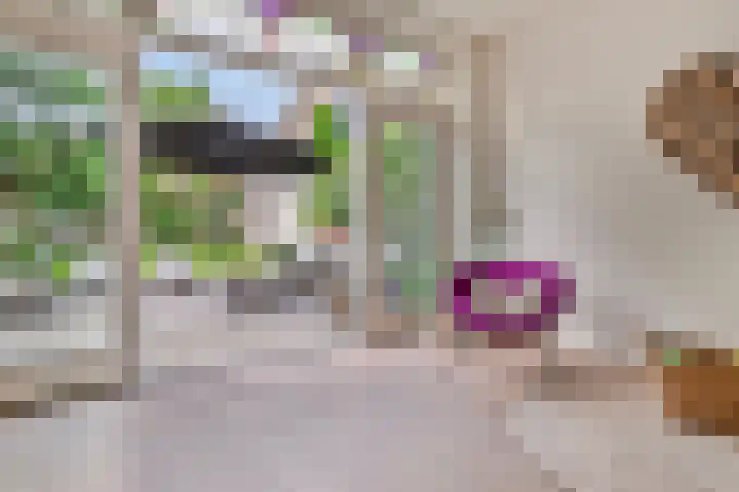Bothniakade 3 a Sneek thumbnail 12